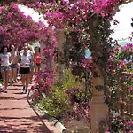 Sianji Well-being Resort